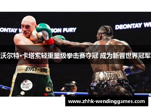 沃尔特·卡塔索轻重量级拳击赛夺冠 成为新晋世界冠军