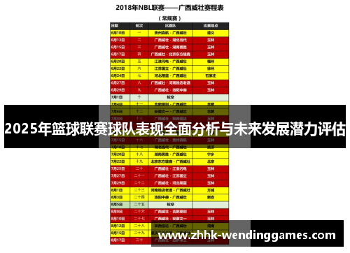 2025年篮球联赛球队表现全面分析与未来发展潜力评估