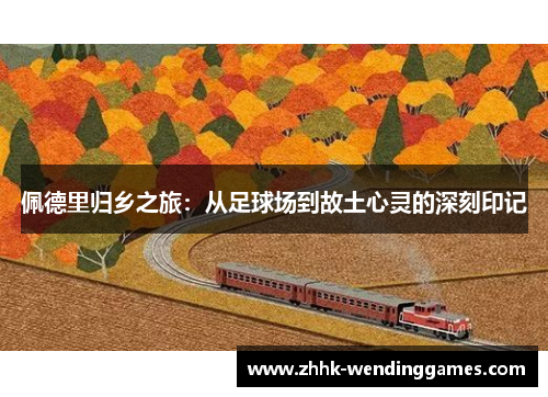 佩德里归乡之旅：从足球场到故土心灵的深刻印记