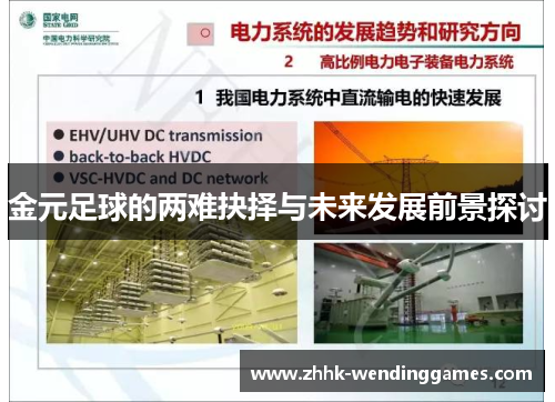 金元足球的两难抉择与未来发展前景探讨 金元足球的两难抉择与未来发展前景探讨
